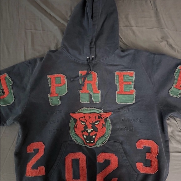 Supreme Washed Panther Hooded Sweatshirt